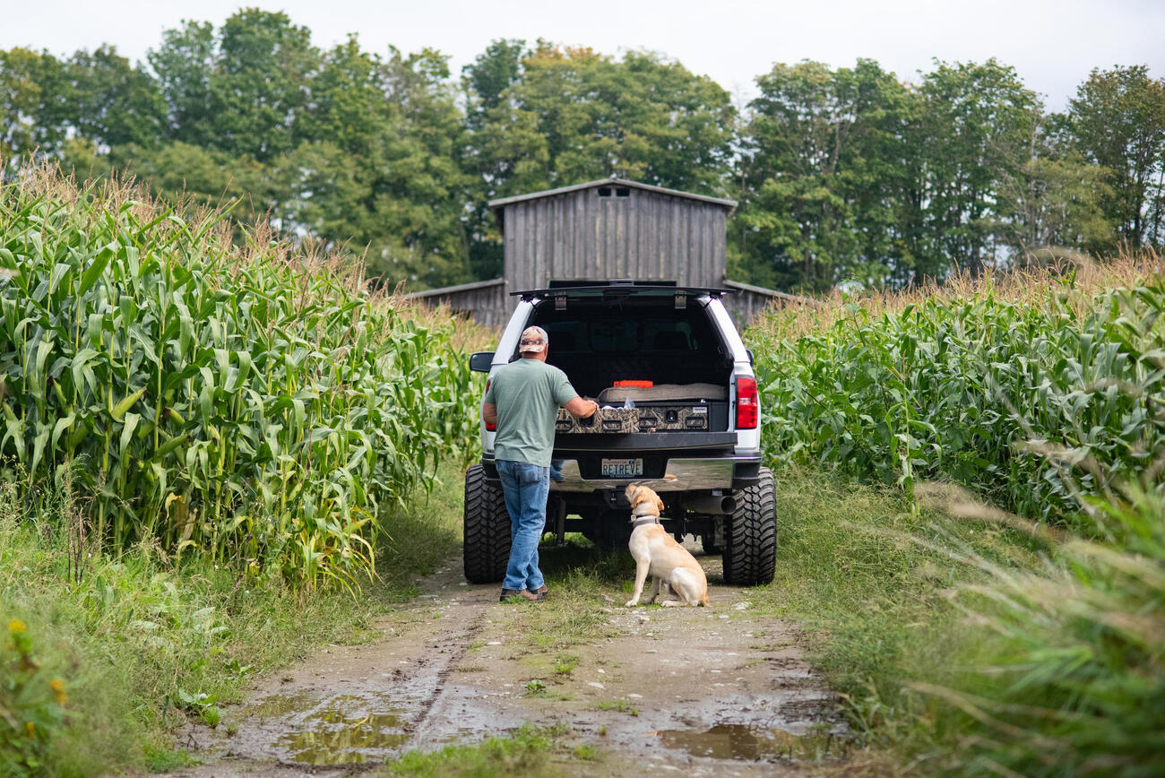 Dog and owner getting ready for a walk.