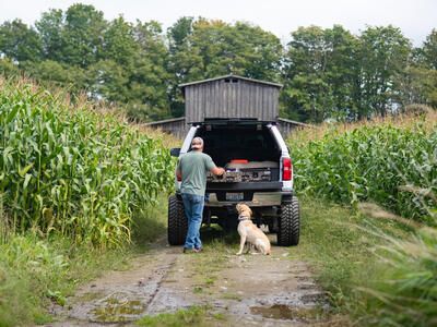 Dog and owner getting ready for a walk.