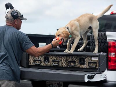 Dog standing on a TruckVault playing with a bumper.