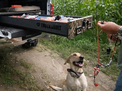 Dog patiently waiting for owners command.